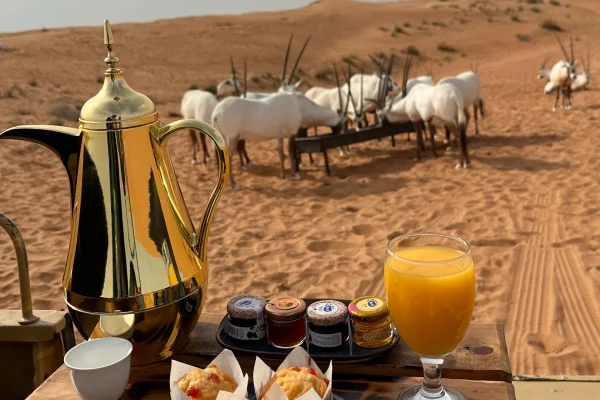Breakfast with Oryx in Dubai (3)
