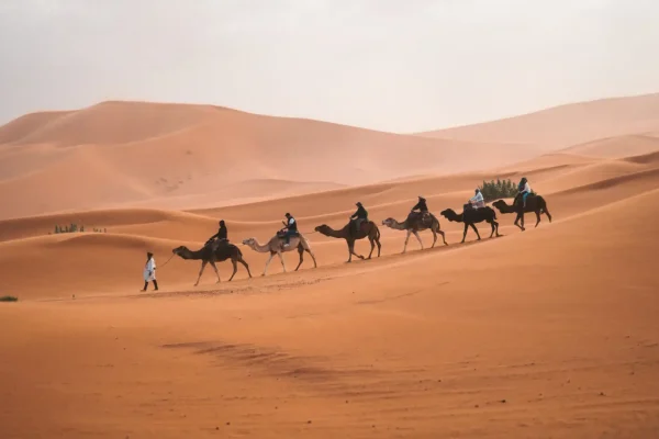 Camel-Ride-in-Dubai-57-Safari-3