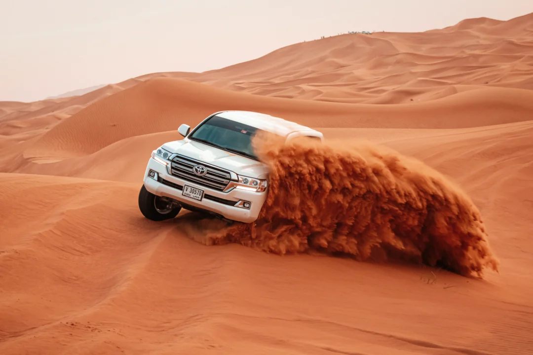 Dune Bashing in Dubai 57 Safari (3)